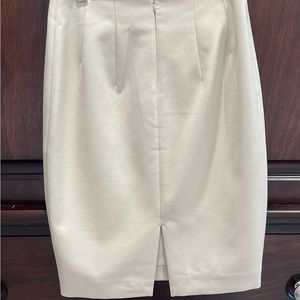 Express Pencil Skirt (NWT)